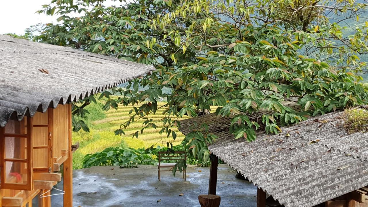 Hmong Sister House And Trekking Apartment Sapa Exterior photo